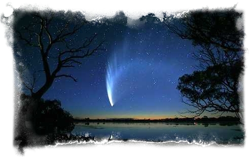 Cometa McNaught